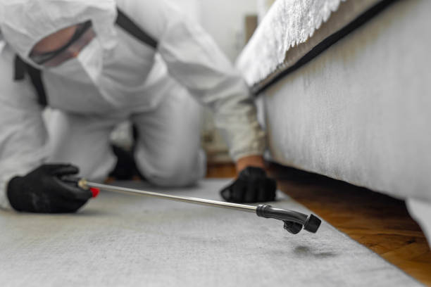 Professional Cockroach Control technician working in Inola, OK