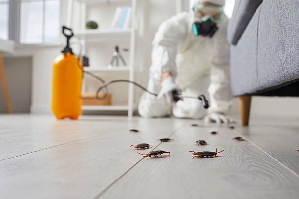 Trusted Cockroach Control service in Inola, OK - Nex Pest Control